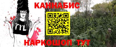 шишки Пушкино