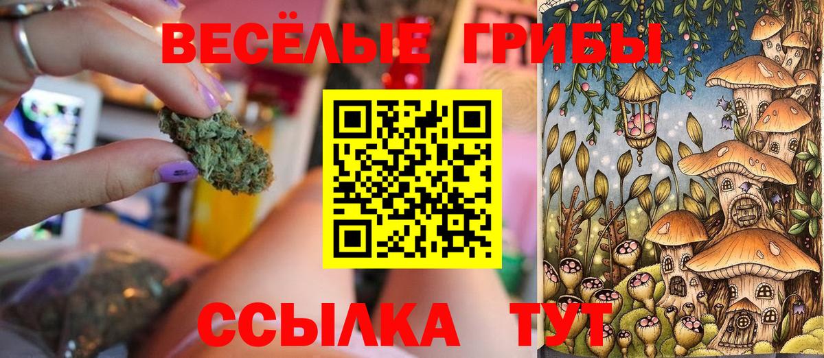 Галлюциногенные грибы мицелий Буйнакск