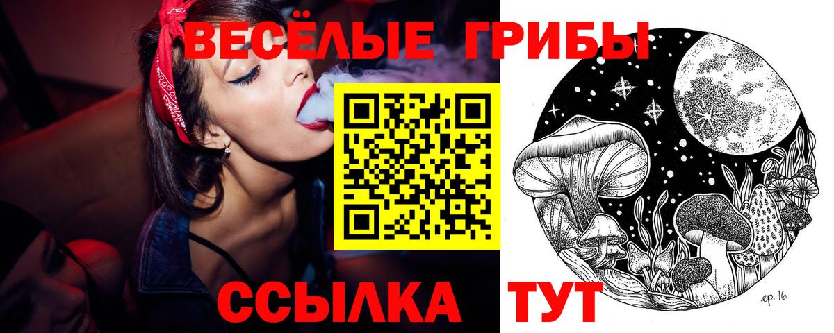 Псилоцибиновые грибы Psilocybine cubensis  Вход с VPN  Буйнакск 